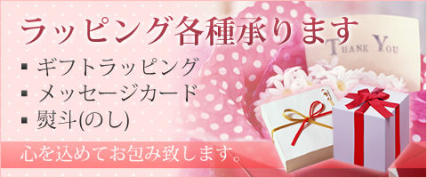 贈物ギフト包装ラッピング・熨斗(のし紙)も、無料サービス! 贈物ギフト包装ラッピング・熨斗(のし紙)も、無料サービス!